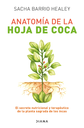 ANATOMÍA DE LA HOJA DE COCA - BARRIO HEALEY, SACHA