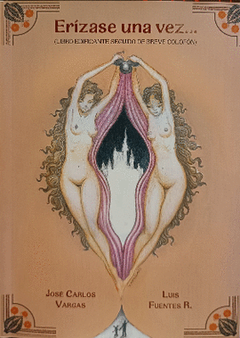 ERÍZASE UNA VEZ...: (LIBRO EDIFICANTE SEGUIDO DE BREVE COLOFÓN) - VARGAS MENDOZA, JOSÉ CARLOS; FUENTES, LUIS