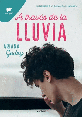 A TRAVÉS DE LA LLUVIA - GODOY, ARIANA