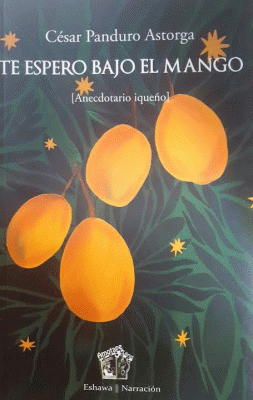 TE ESPERO BAJO EL MANGO: [ANECDOTARIO IQUEÑO] - PANDURO ASTORGA, CÉSAR