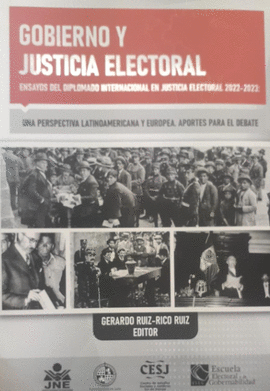 GOBIERNO Y JUSTICIA ELECTORAL: ENSAYOS DEL DIPLOMADO INTERNACIONA - RUIZ, GERARDO
