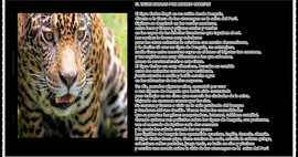 EL TIGRE CARLOS. COLECCIÓN ANIMALES - MARTOS, MARCO