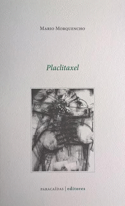 PLACLITAXEL - MORQUENCHO, MARIO
