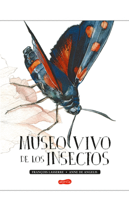 MUSEO VIVO DE LOS INSECTOS - LASSERRE, FRANÇOIS