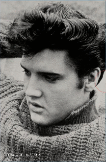 ELVIS. ÚLTIMO TREN A MENPHIS: LA CONSTRUCCIÓN DEL MITO / AMORES Q - GURALNICK, PETER