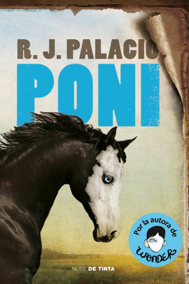 PONI - PALACIO, R.J.