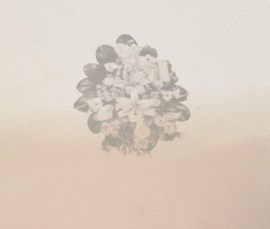 LUZ - CHRISTIAN BENDAYÁN CON CD