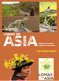 LOMAS DE ASIA