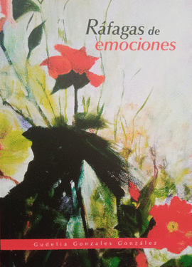 RÁFAGAS DE EMOCIONES