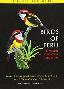 BIRDS OF PERU