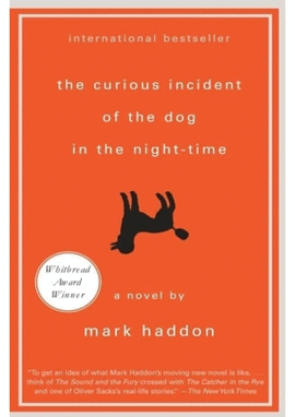 THE CURIOUS INCIDENT OF THE DOG IN THE NIGHT-TIME