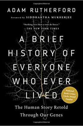 A BRIEF HISTORY OF EVERYONE WHO EVER LIVED : THE HUMAN STORY RETOLD THROUGH OUR GENES