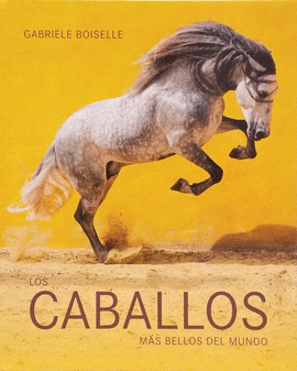 LOS CABALLOS MÁS BELLOS DEL MUNDO