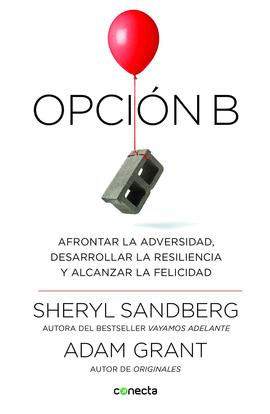 OPCION B