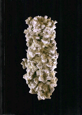 TENSAR EL PRESENTE / HILAR EL FUTURO ÍNTEGRO