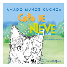 COPO DE NIEVE