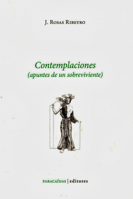 CONTEMPLACIONES (APUNTES DE UN SOBREVIVIENTE)