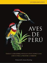 AVES DE PERÚ