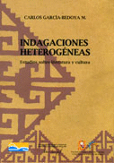INDAGACIONES HETEROGÉNEAS. ESTUDIOS SOBRE LITERATURA Y CULTURA