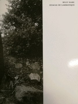 BILLY HARE: HUACAS DE LAMBAYEQUE