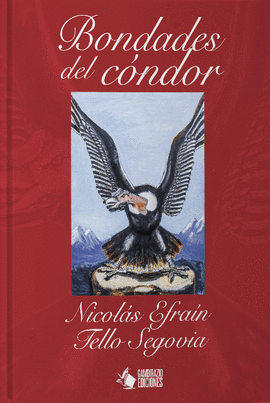 BONDADES DEL CÓNDOR