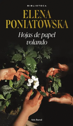 HOJAS DE PAPEL VOLANDO