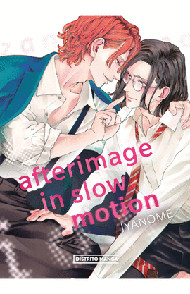 AFTERIMAGE IN SLOW MOTION