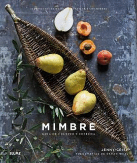 MIMBRE : 20 PROYECTOS ARTESANALES DE CESTERÍA CON MIMBRE
