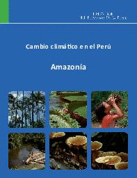 CAMBIO CLIMÁTICO EN EL PERÚ. AMAZONÍA