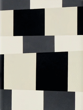 MARIELLA AGOIS. SISTEMAS GEOMÉTRICOS